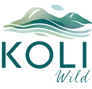 Koli Wild Logo transparent